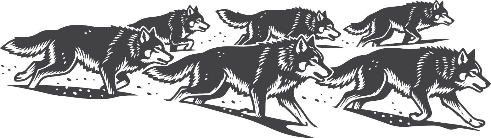 Lobo's Taqueria • Careers